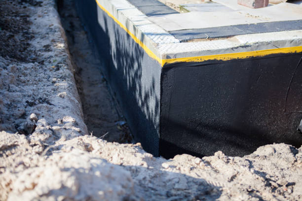 Professional Wet Basement Repair technician working in Iron City, TN